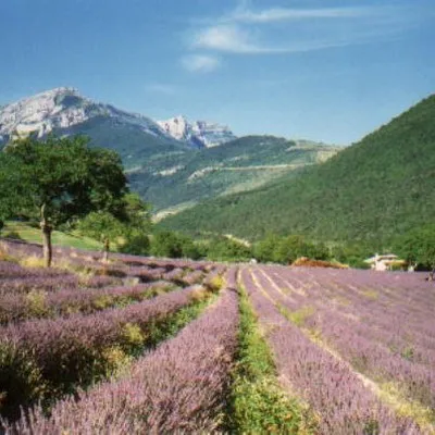 viradaForcada