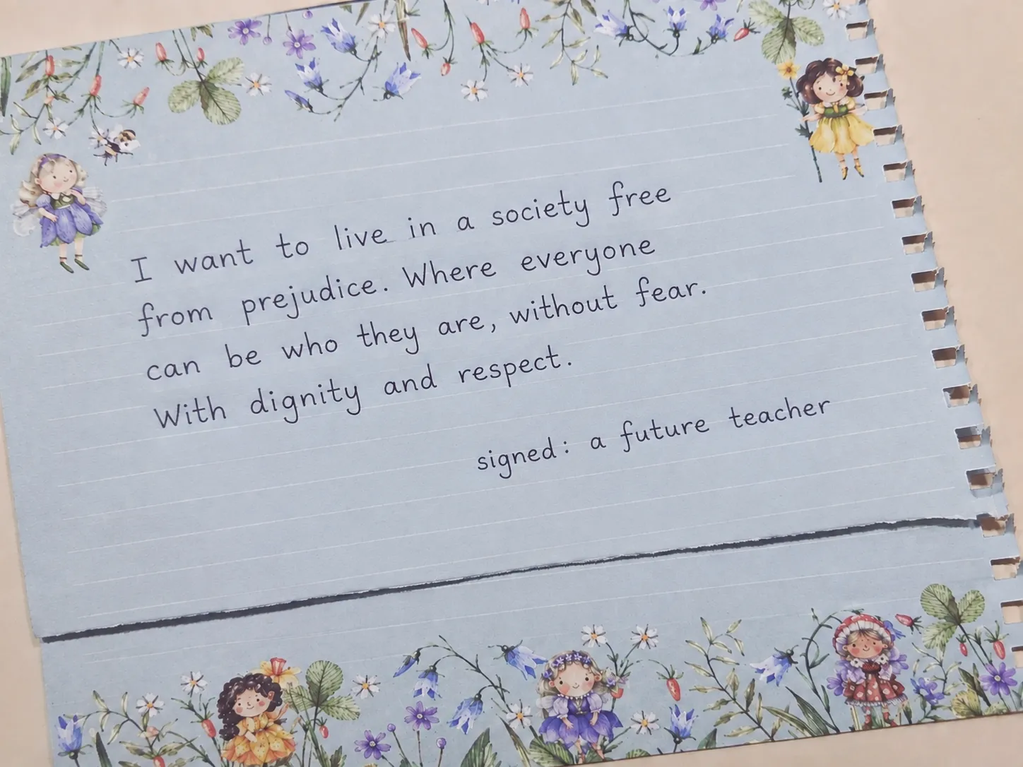 Carta de uma futura professora, enviada para o governo.
