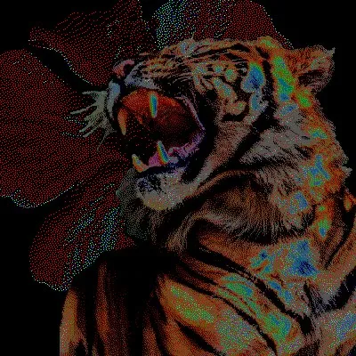 alwysgwo_