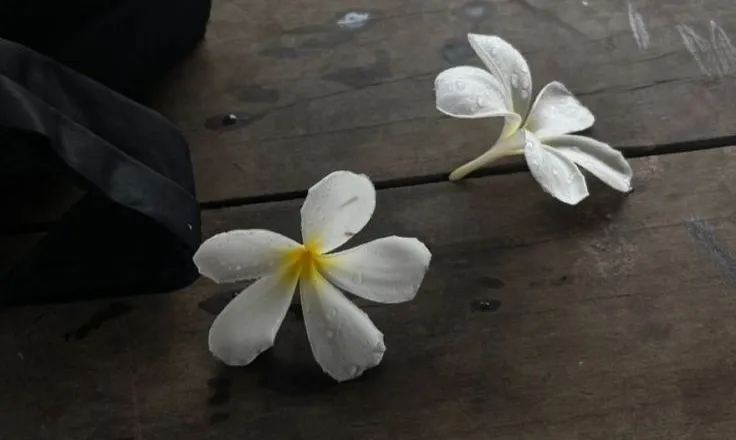 null