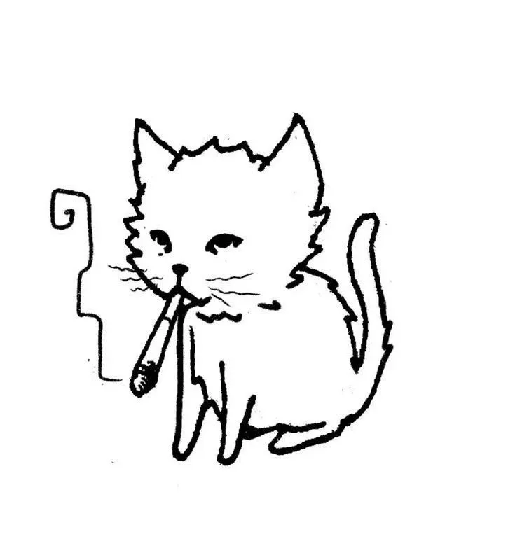 gatomaconha