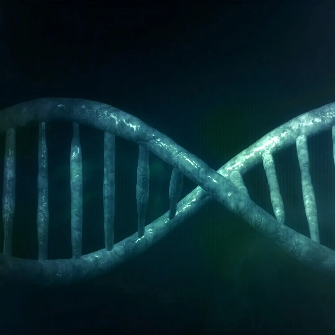 Investigación científica, Salud, Educación, Bienestar