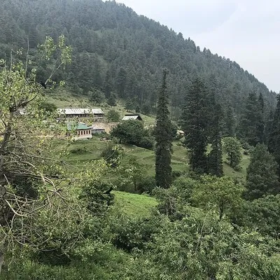 AlineTeixeira