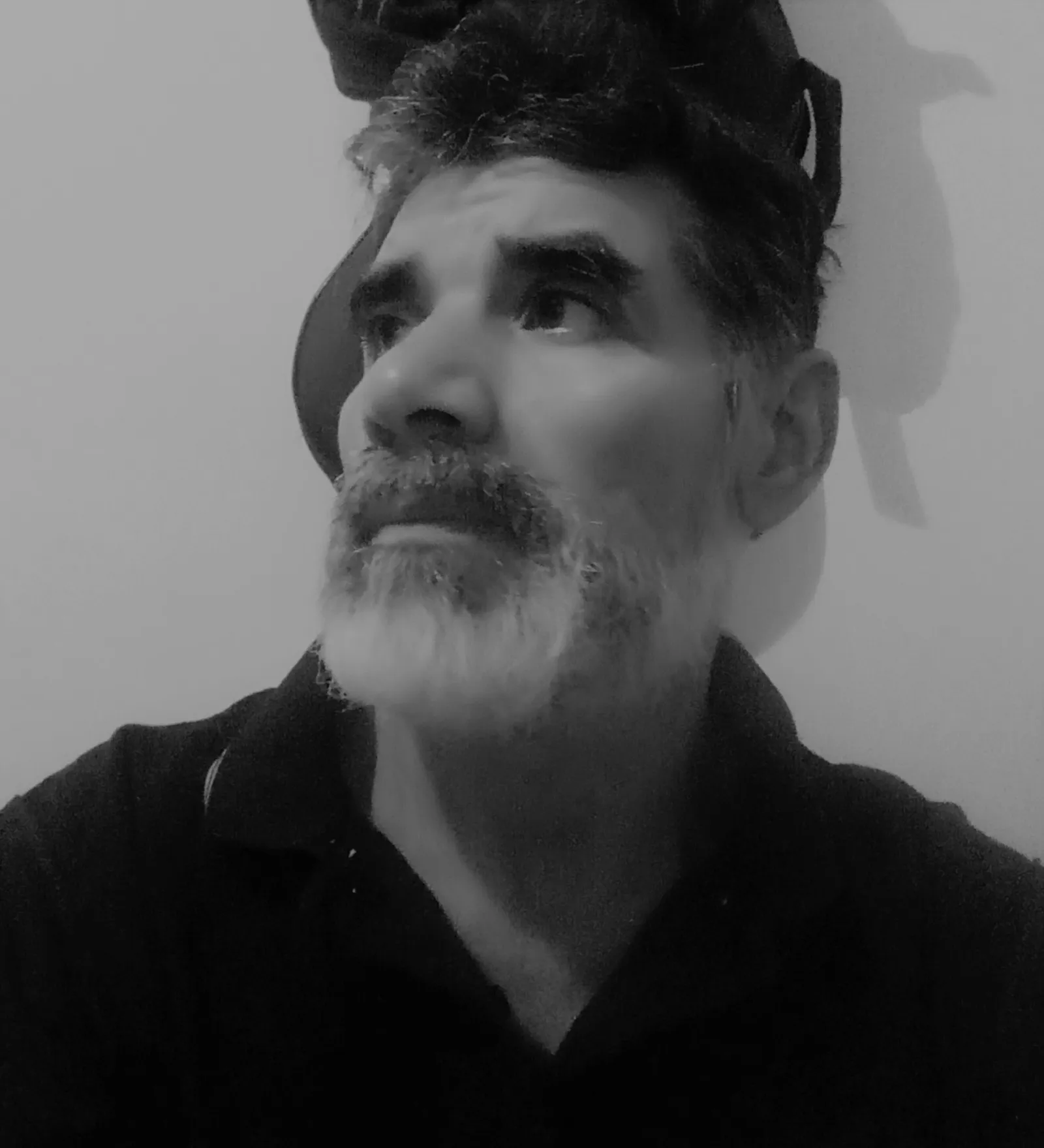 guianocturno