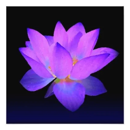 Flordeloto