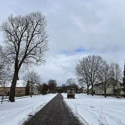 remolino5
