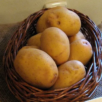 hortacaseira