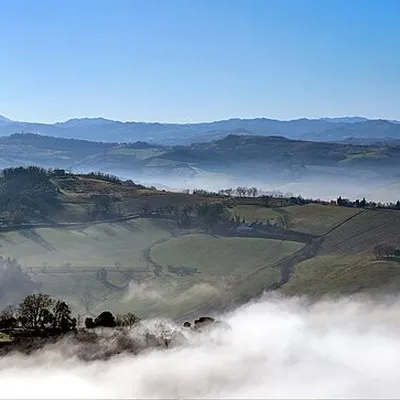 Anisio