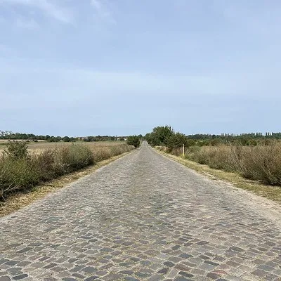 borradora
