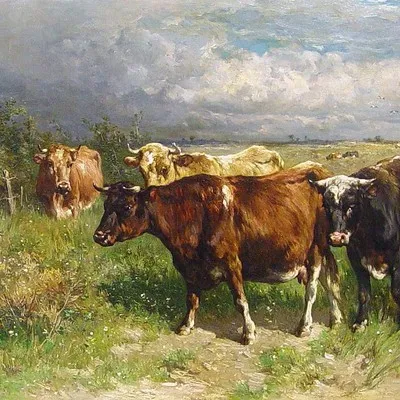 Sacred Cows