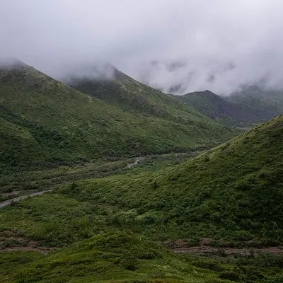 treinobasico