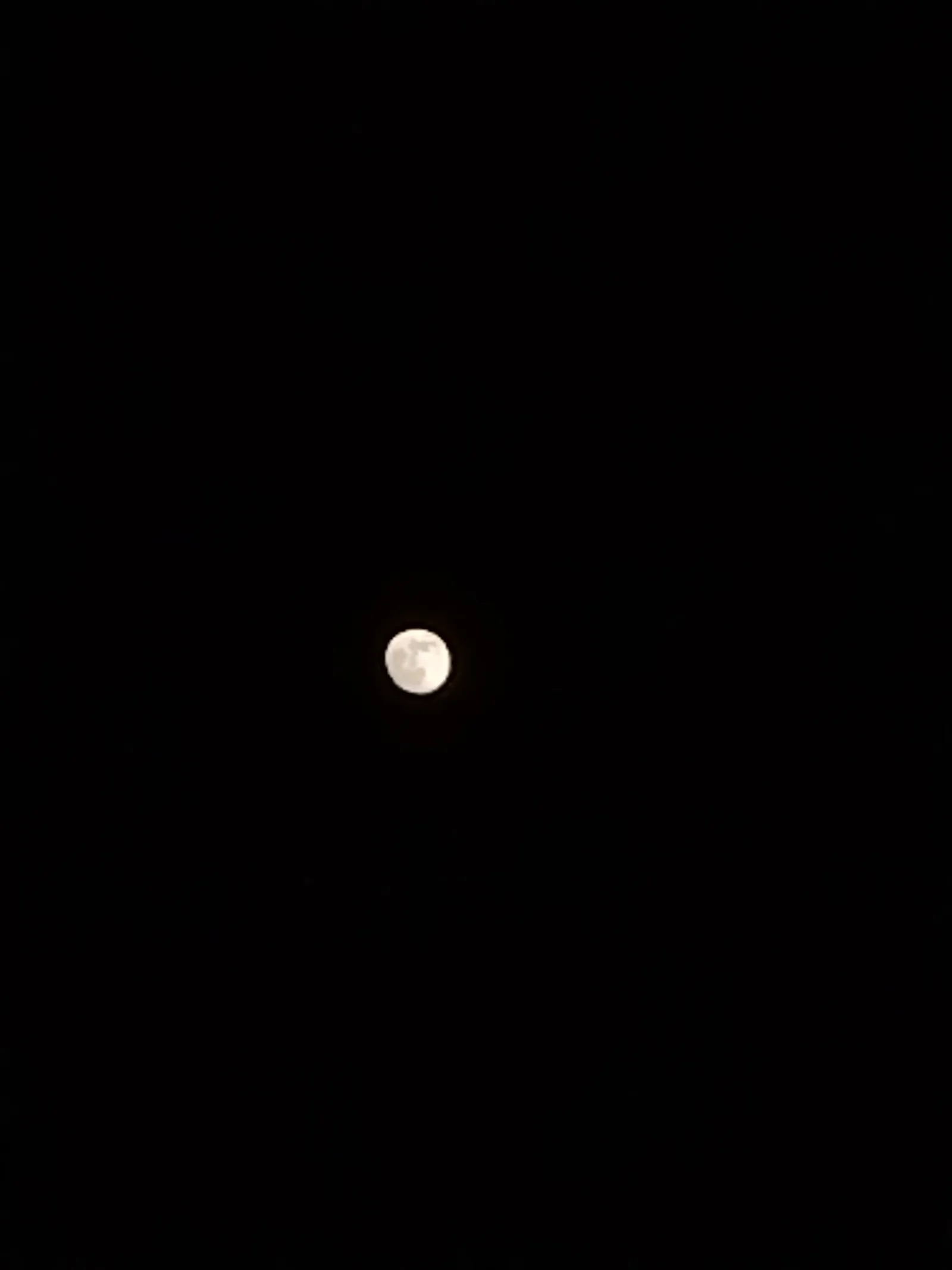 Alejandra_2004