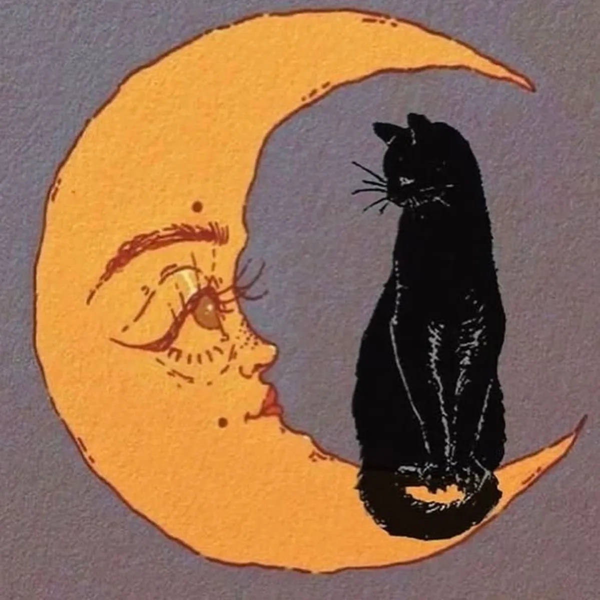 gatitaenlaluna