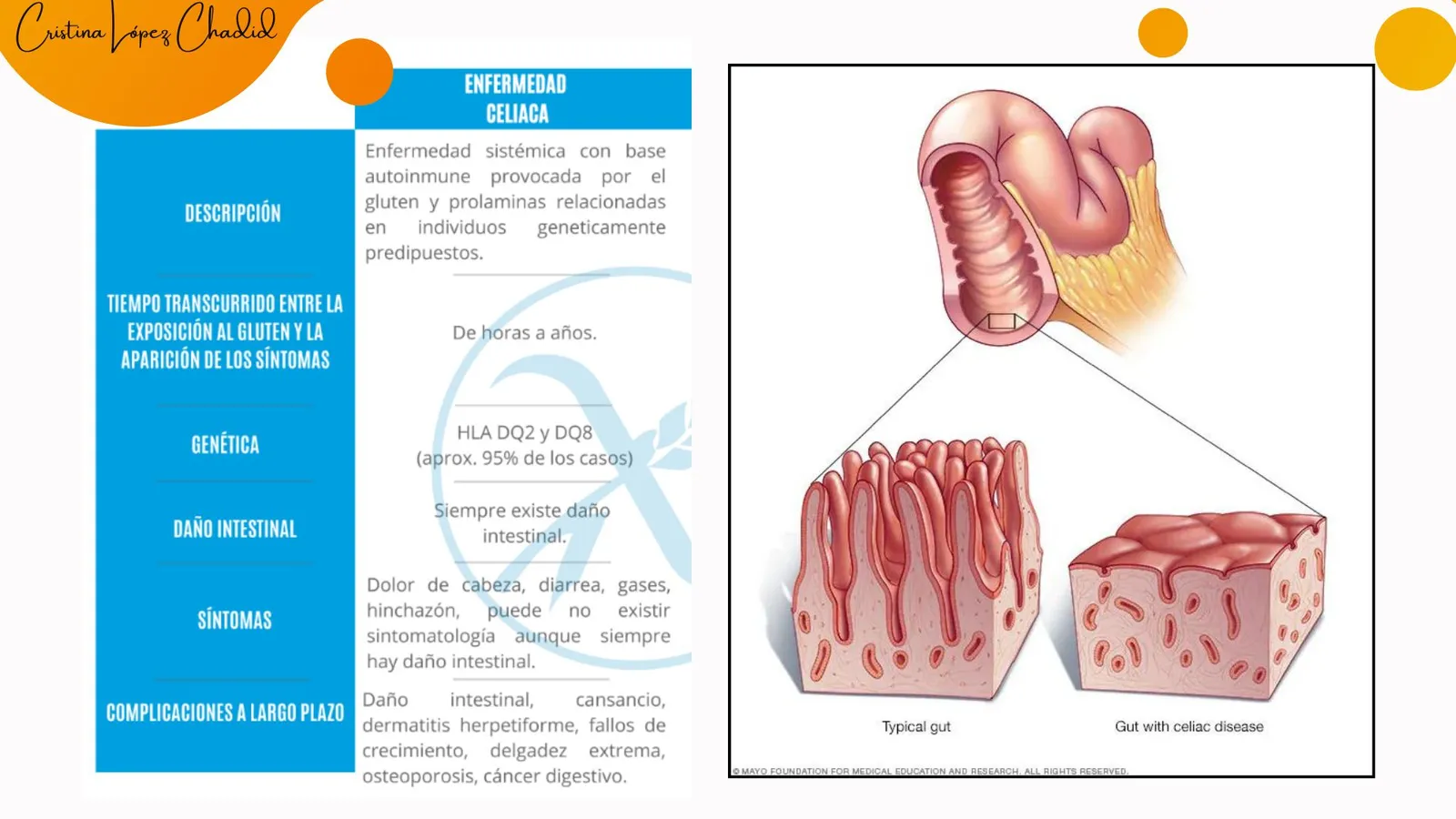 Investigación científica, Salud, Educación, Bienestar