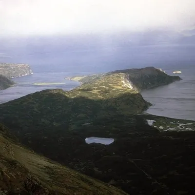 OsvaldoFierro