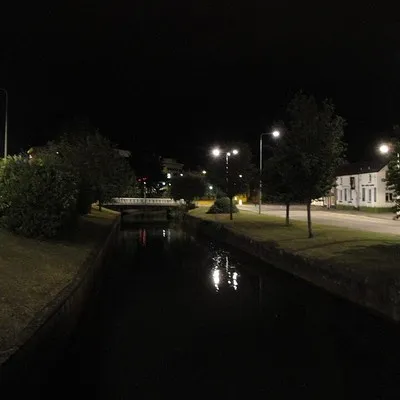 amigosviejos