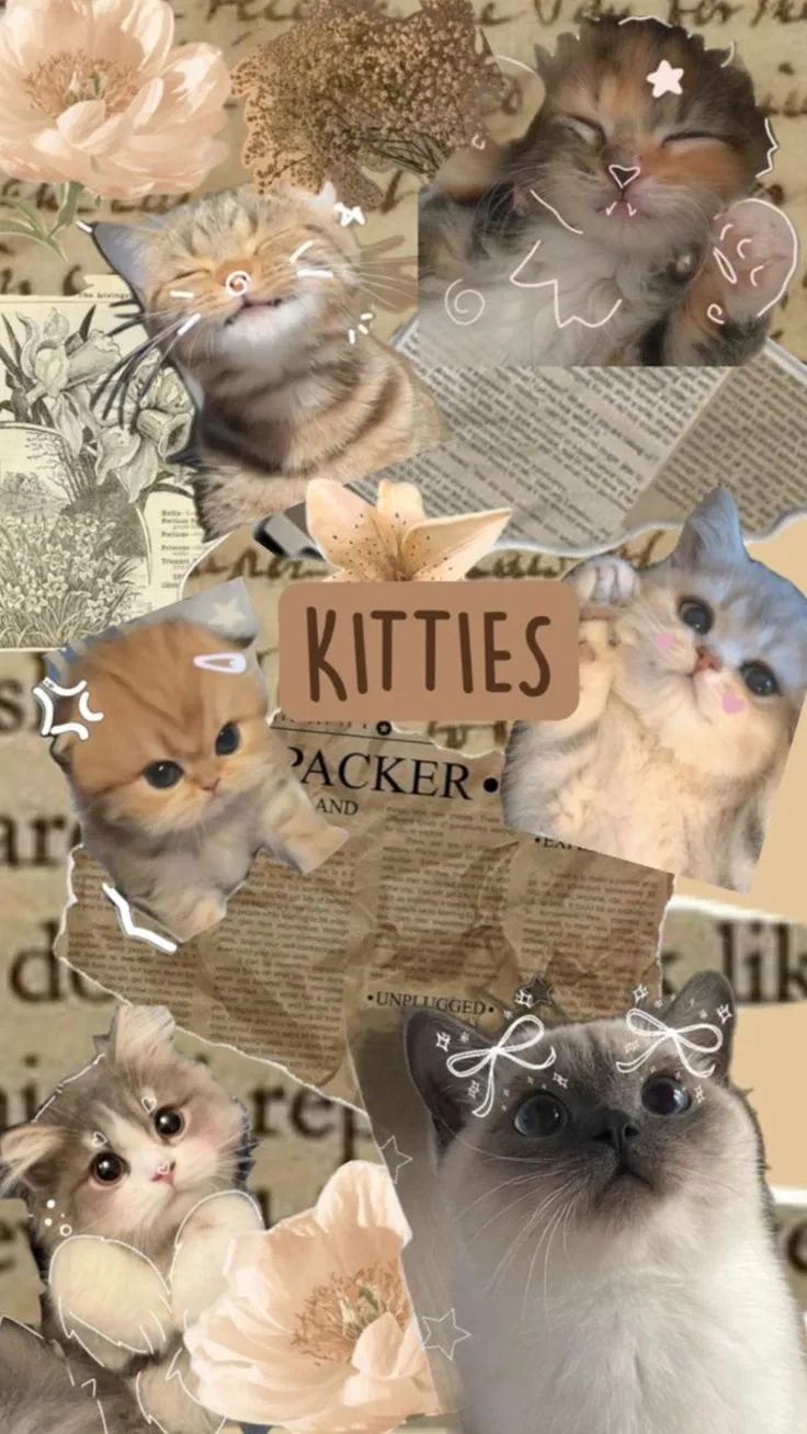 _KITIESS_IA_